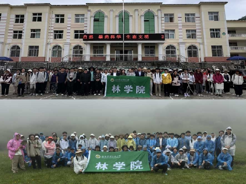 图片2_副本.jpg
